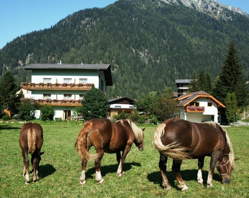 Pension Jaegerhof Mallnitz Exteriér fotografie